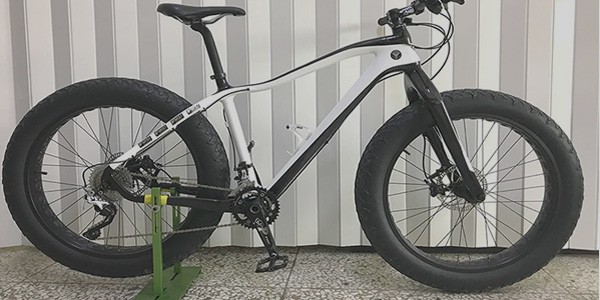 Carbon Fat Bike